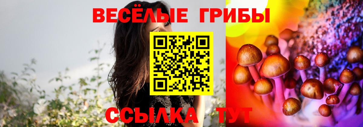 Кыштым  Галлюциногенные грибы Psilocybine cubensis  Псилоцибиновые грибы мицелий  что такое   Вход с VPN 